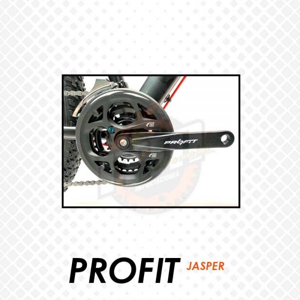 PROFIT JASPER - Imagen 6