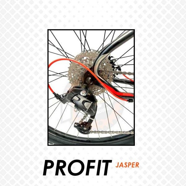 PROFIT JASPER - Imagen 4