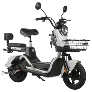 Eléctrica GW 800W E-Max